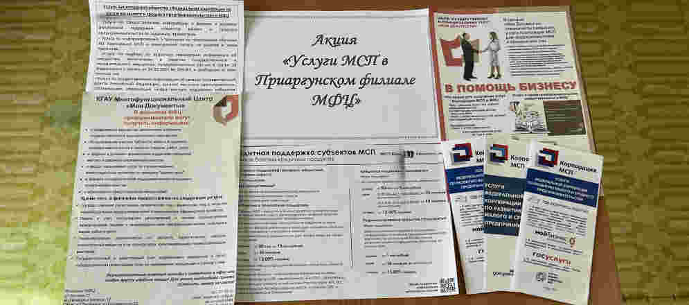 Акция Услуги МСП в Приаргунском филиале МФЦ в апреле 2024 г