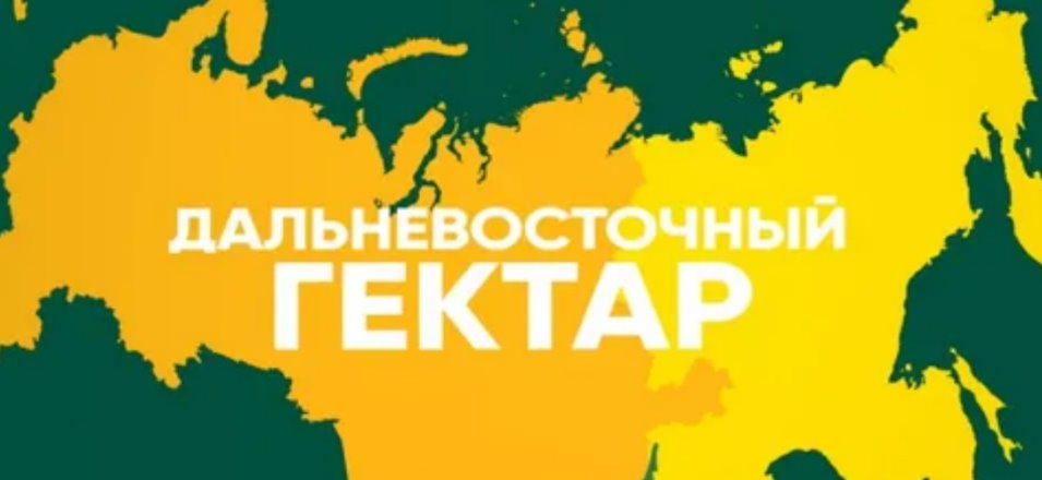 Жители ДФО подают заявки на «дальневосточный гектар» в Забайкалье