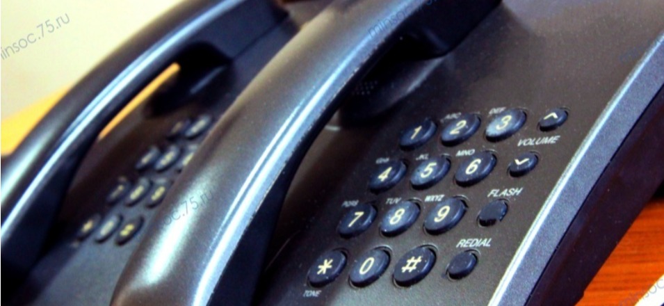В краевом центре занятости добавлены номера телефонов «горячих линий»