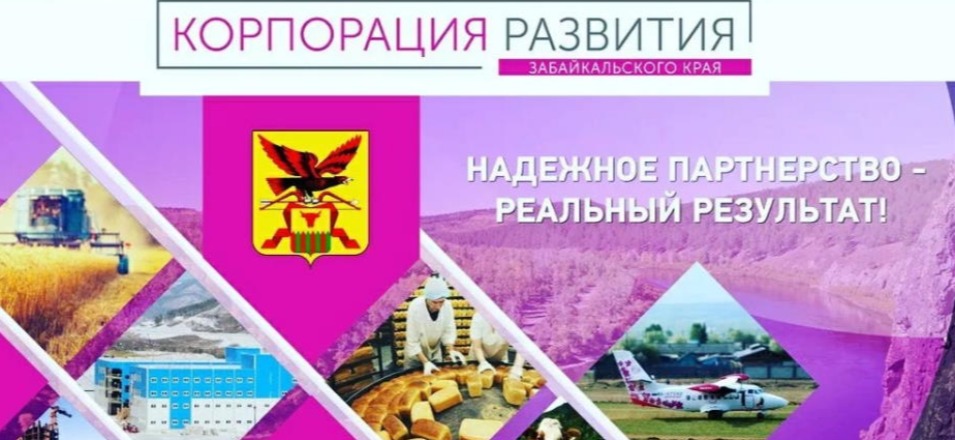 В МФЦ можно получить услугу АО «Корпорация развития Забайкальского края» в ноябре 2021 года