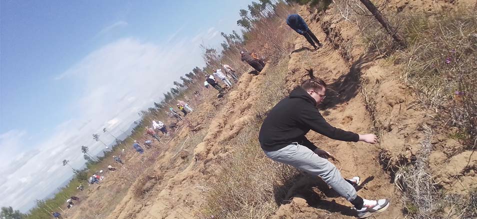 Работники МФЦ приняли участие в акции по посадке леса