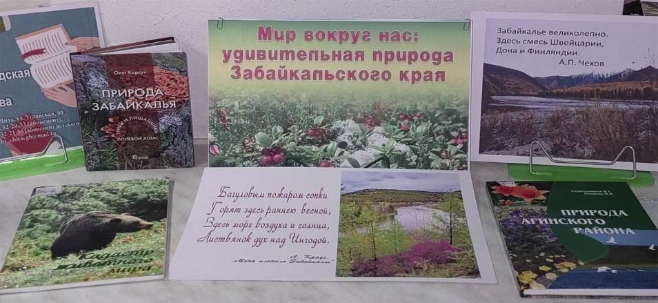 «Мир вокруг нас: удивительная природа Забайкальского края» - книжная выставка прошла в МФЦ