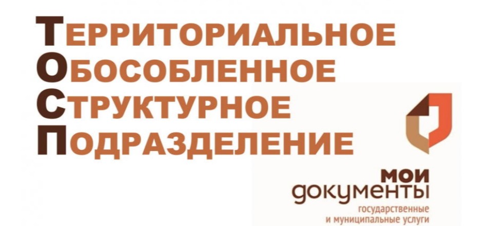 Услуги МФЦ в ТОСПах Агинского района в апреле 2020 года Услуги МФЦ в ТОСПах Агинского района в апреле 2020 года