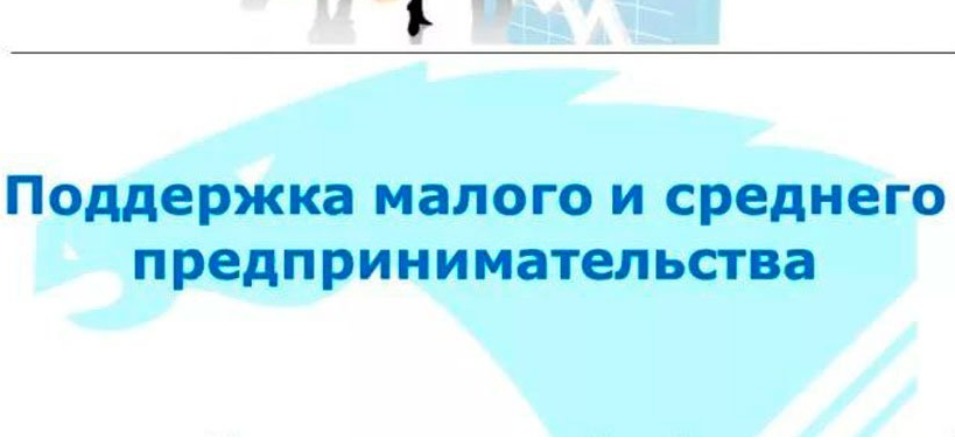 Субъекты МСП в пострадавших отраслях могут получить кредит на цели выплаты заработной платы