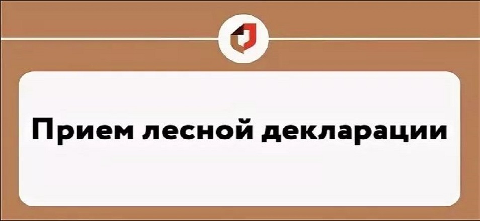 Прием леcной деклаpaции Прием леcной деклаpaции
