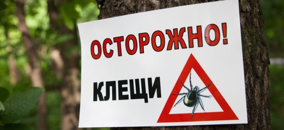 Осторожно, клещи! Осторожно, клещи!