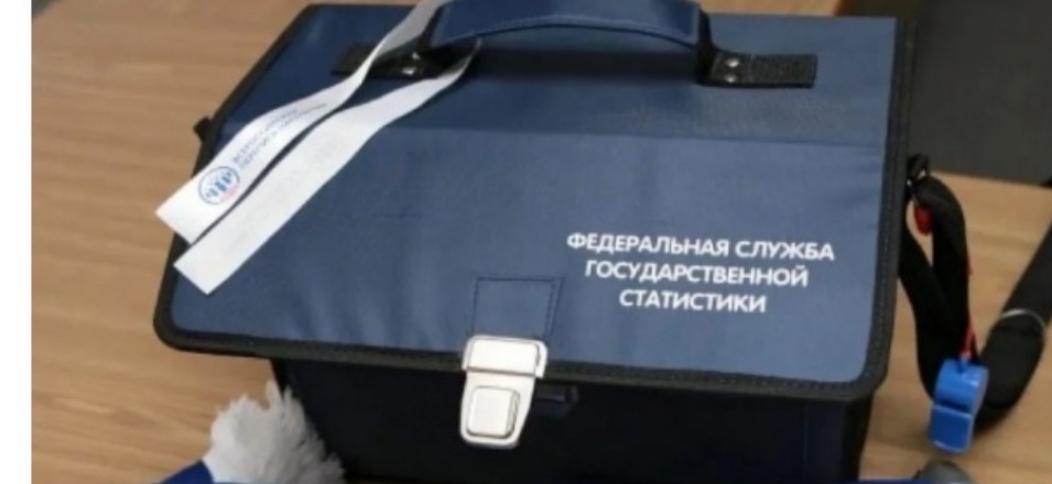 В Забайкалье в условиях сложной эпидобстановки проходит Всероссийская перепись населения В Забайкалье в условиях сложной эпидобстановки проходит Всероссийская перепись населения