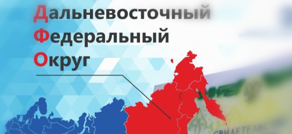 «Дальневосточные выплаты» продолжают получать забайкальские семьи с детьми «Дальневосточные выплаты» продолжают получать забайкальские семьи с детьми