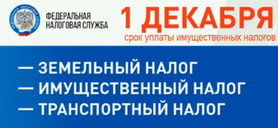 Что будет, если физлицо не заплатит 1 декабря налоги за 2019 год? Что будет, если физлицо не заплатит 1 декабря налоги за 2019 год?