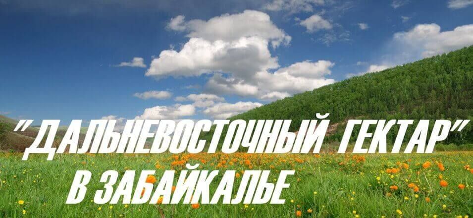 В Забайкалье стартовало досрочное  оформление в собственность «дальневосточных гектаров»