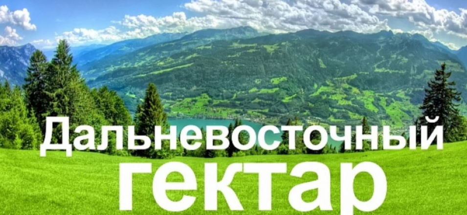 Все жители ДФО с 1 февраля смогут получить «Дальневосточный гектар» в Забайкалье Все жители ДФО с 1 февраля смогут получить «Дальневосточный гектар» в Забайкалье